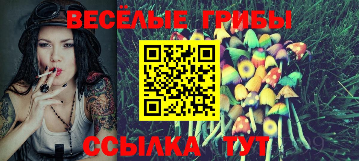 Галлюциногенные грибы прущие грибы  Вход с VPN  Хасавюрт 