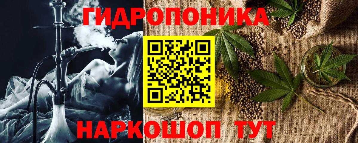 Бошки марихуана SATIVA & INDICA  Конопля SATIVA & INDICA  Вход с VPN  Бошки марихуана THC 21%  Хасавюрт  Бошки марихуана планчик 
